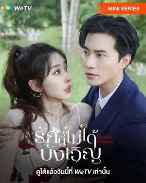 manbo-destiny-2025-รักนี้ไม่ได้บังเอิญ